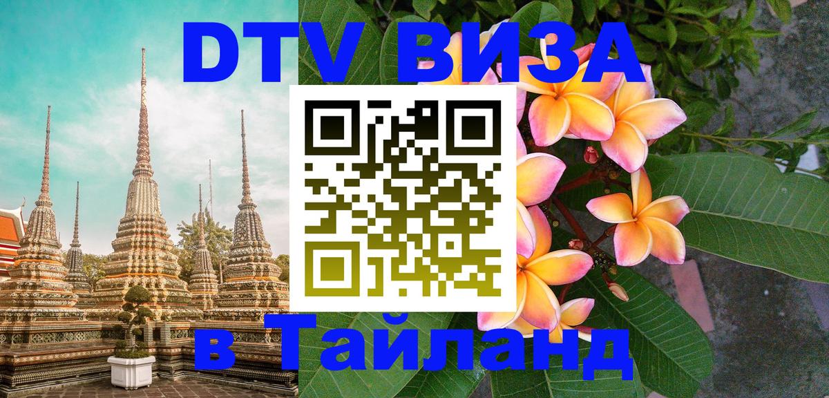 Оформление DTV визы под ключ: стоимость и тарифы, только загранпаспорт - 